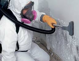 Best Asbestos and Lead Testing During Mold Inspection  in Coachella, CA